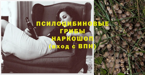 прущая мука Бородино