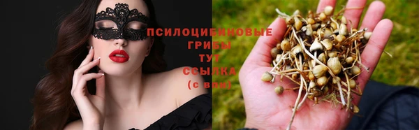 прущая мука Бородино