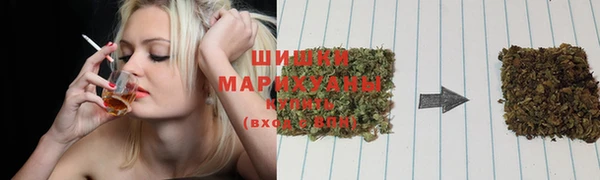 винт Бронницы