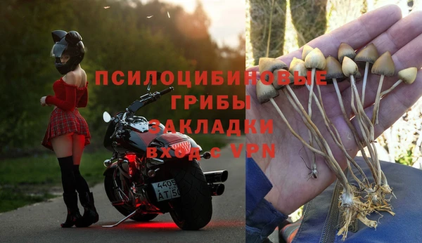 стафф Бугульма